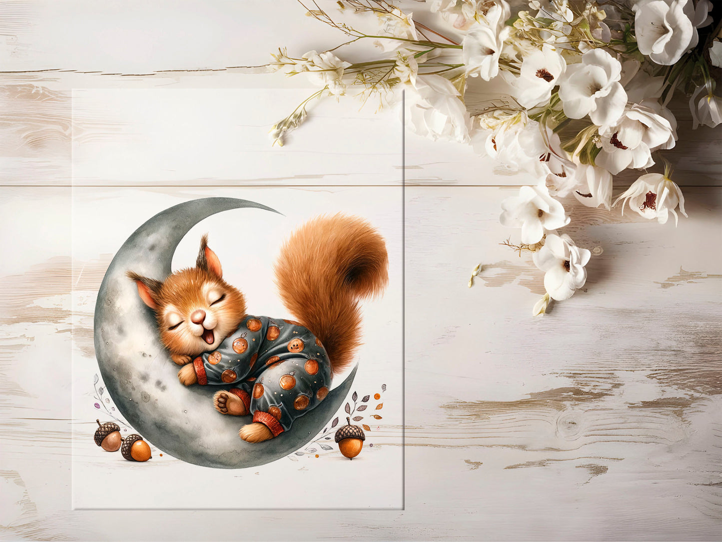 Bügelbild - Mond Eichhörnchen #1390