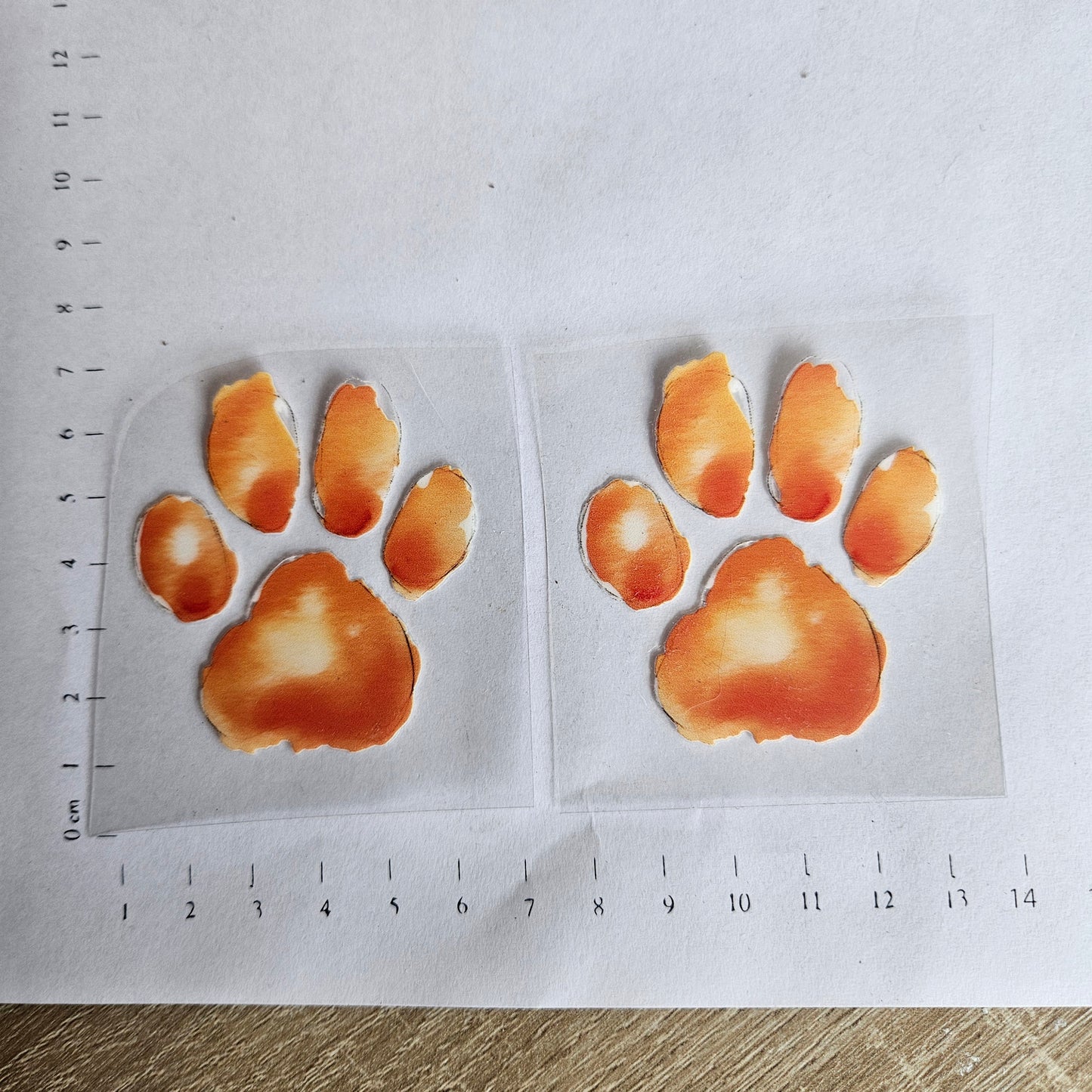 Rub On - 6cm - Pfote Orange (1Stk)