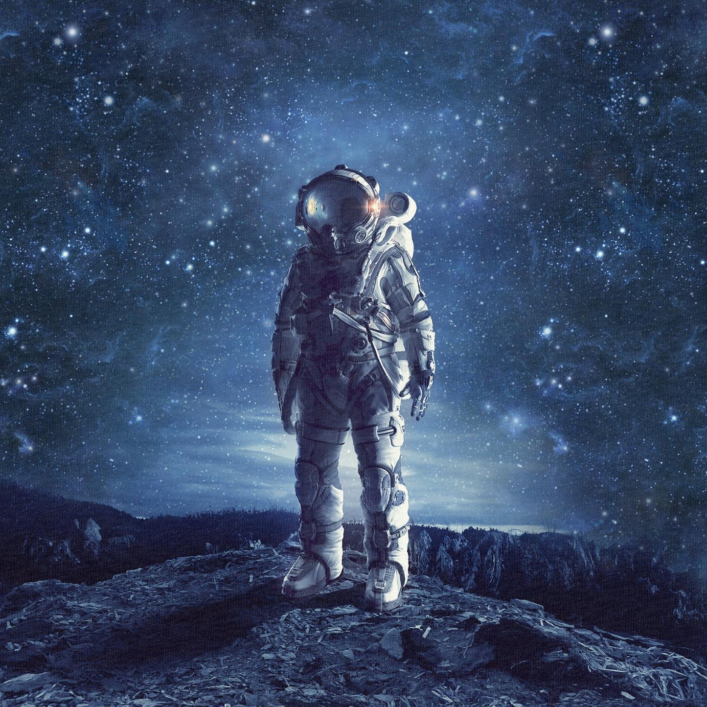 Sommersweat - Astronaut 50x70cm