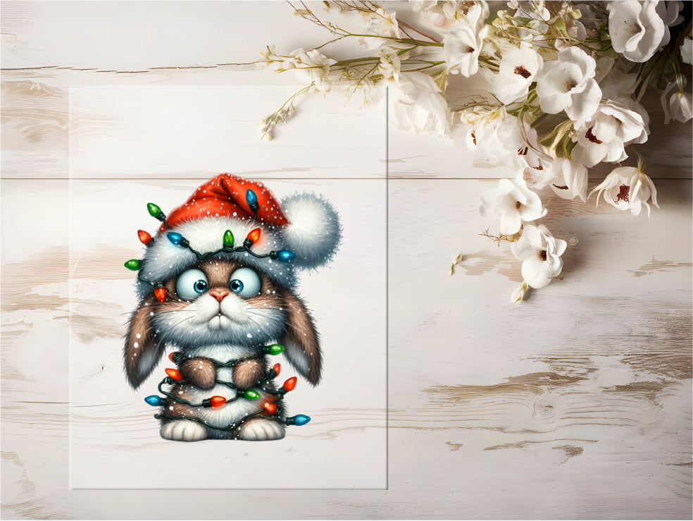 Bügelbild - Tollpatsch Hase #0619