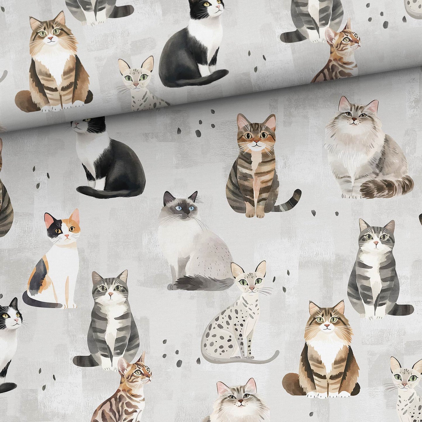 Sommersweat - Katzen Grau