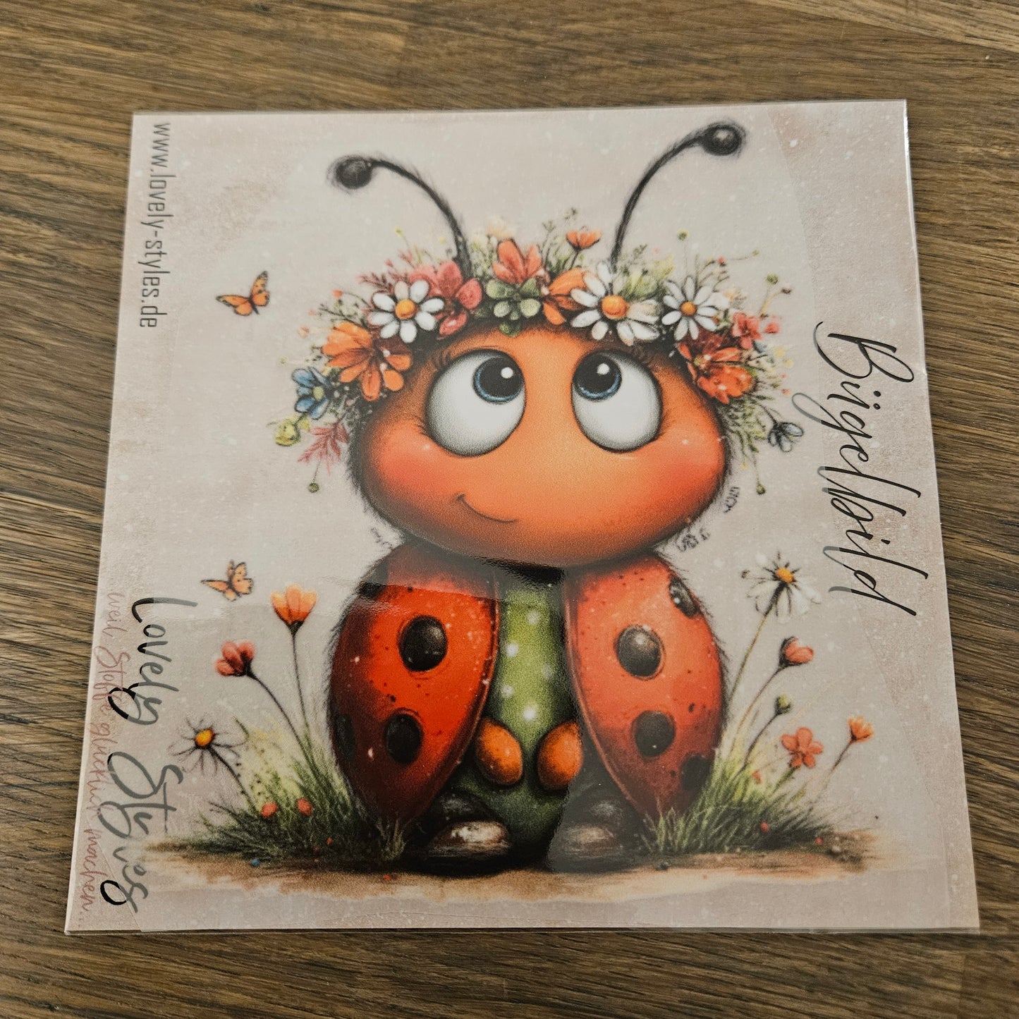 Bügelbild - Süßer Marienkäfer ca. 15cm