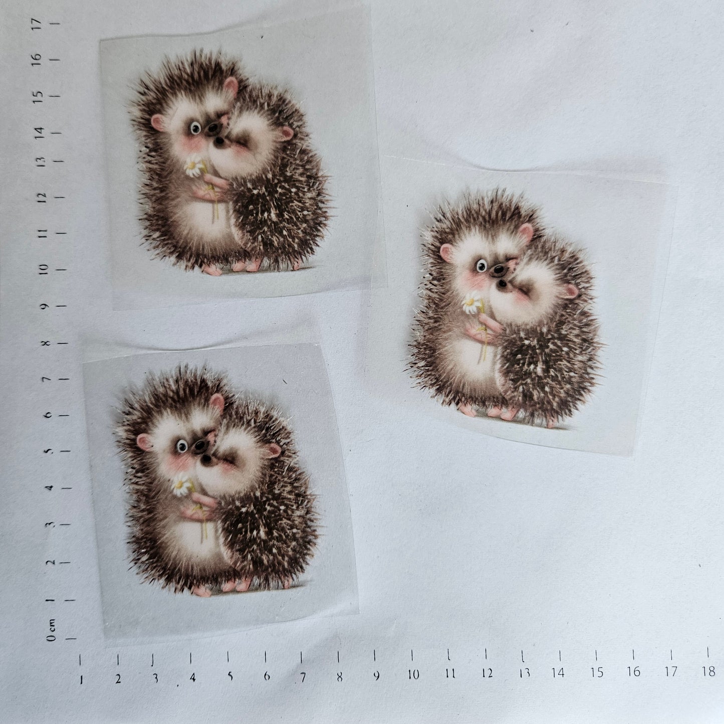 Rub On - 6cm - Süße Igel (1Stk)