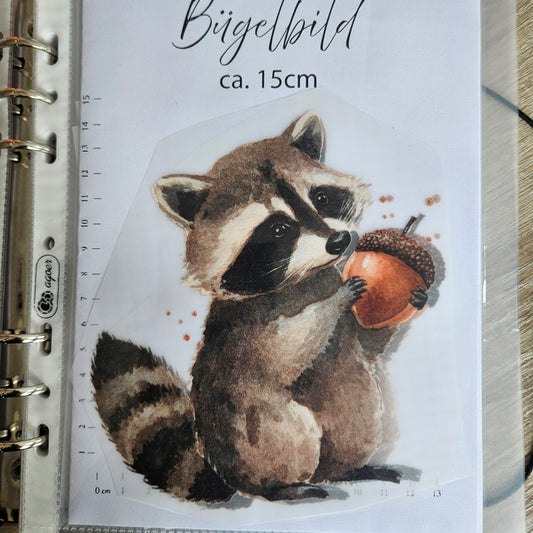 Bügelbild - ca. 15cm - Süßer Waschbär mit Eichel