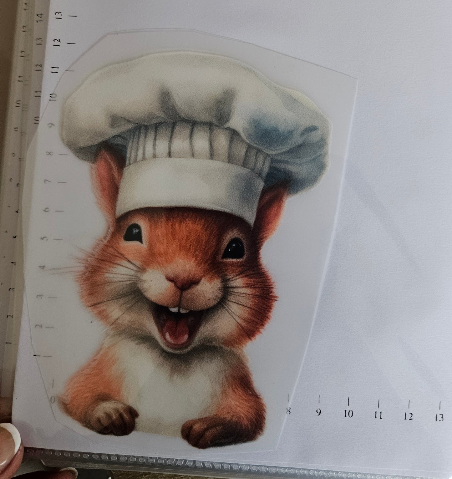Bügelbild - ca. 15cm - Eichhörnchen Koch