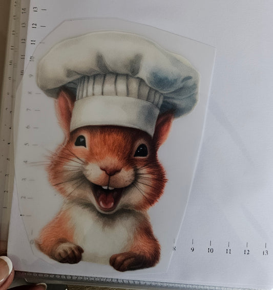 Bügelbild - ca. 15cm - Eichhörnchen Koch