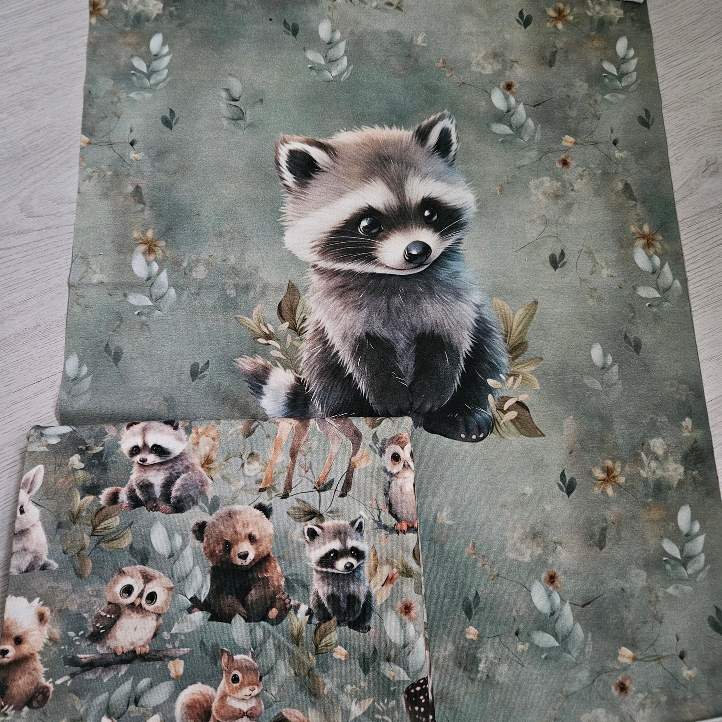 Sommersweat - Panel mit Kombi 0,5m - Waschbär Dusty mint