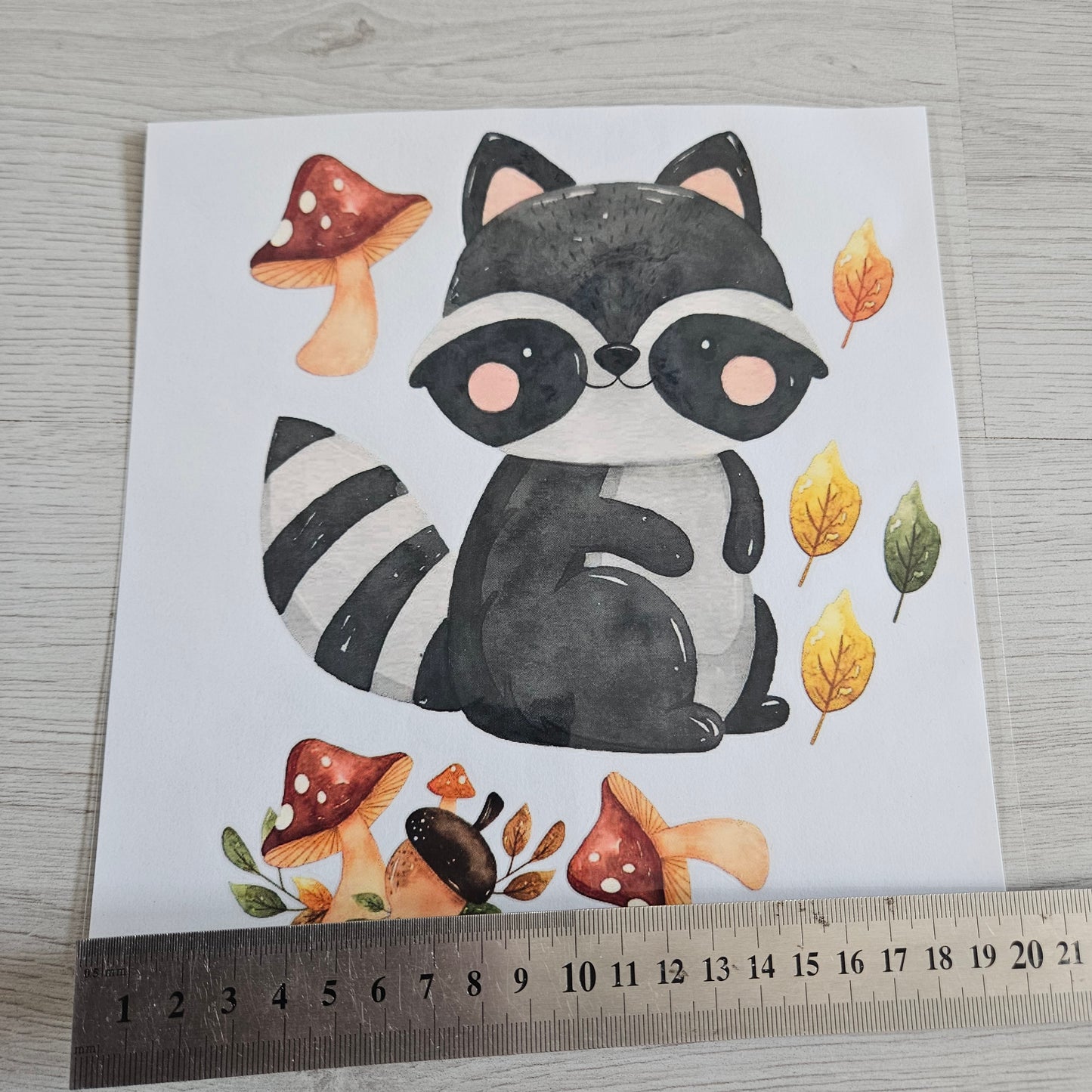 Bügelbild - Set Waschbär