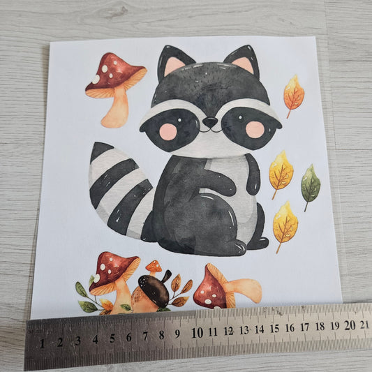 Bügelbild - Set Waschbär