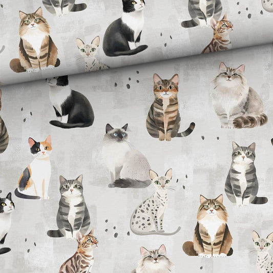 Sommersweat - Katzen Grau