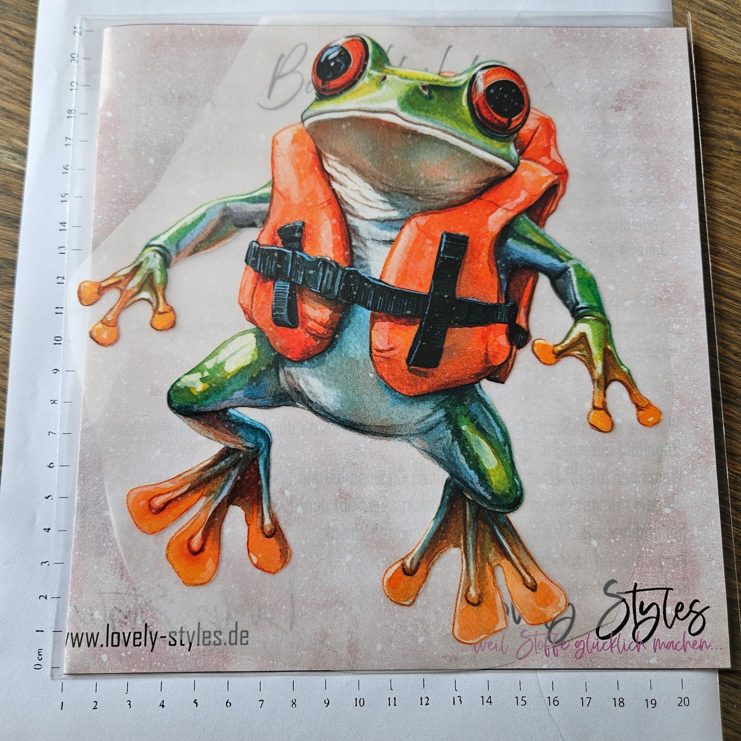 Bügelbild - Frosch mit Veste ca. 20cm