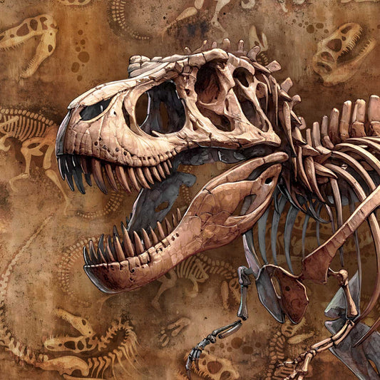 Sommersweat - Panel - T Rex Skelett