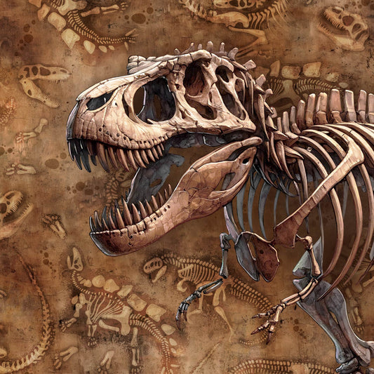 Sommersweat - Panel 50x70cm - Dino Skelett