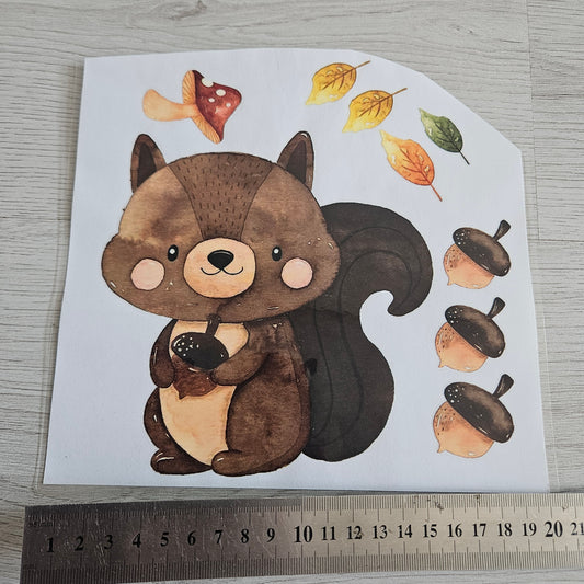 Bügelbild - Set Eichhörnchen