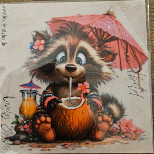 Bügelbild - Funny Waschbär ca. 15cm